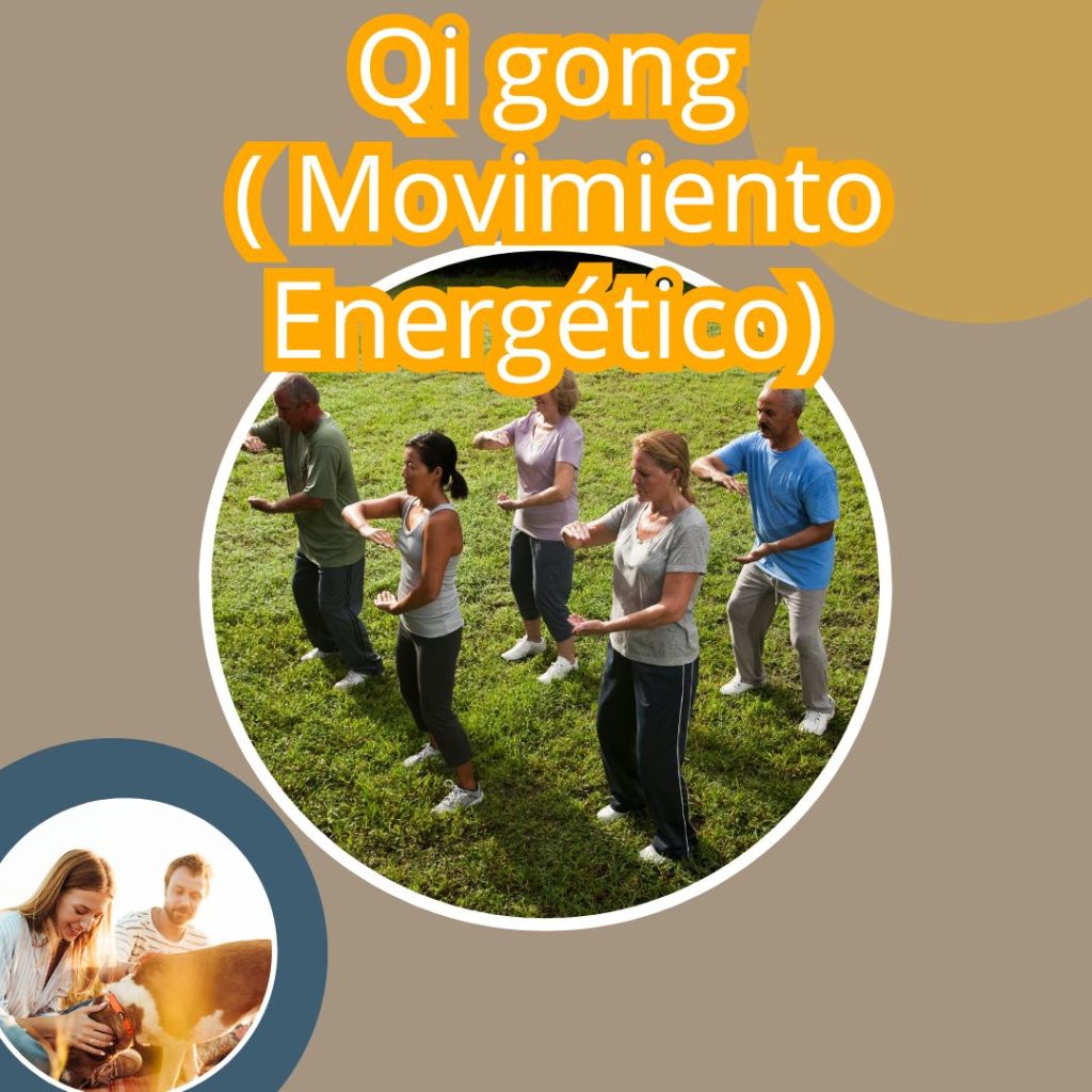 QI GONG MOVIMIENTOS ENERGÉTICOS