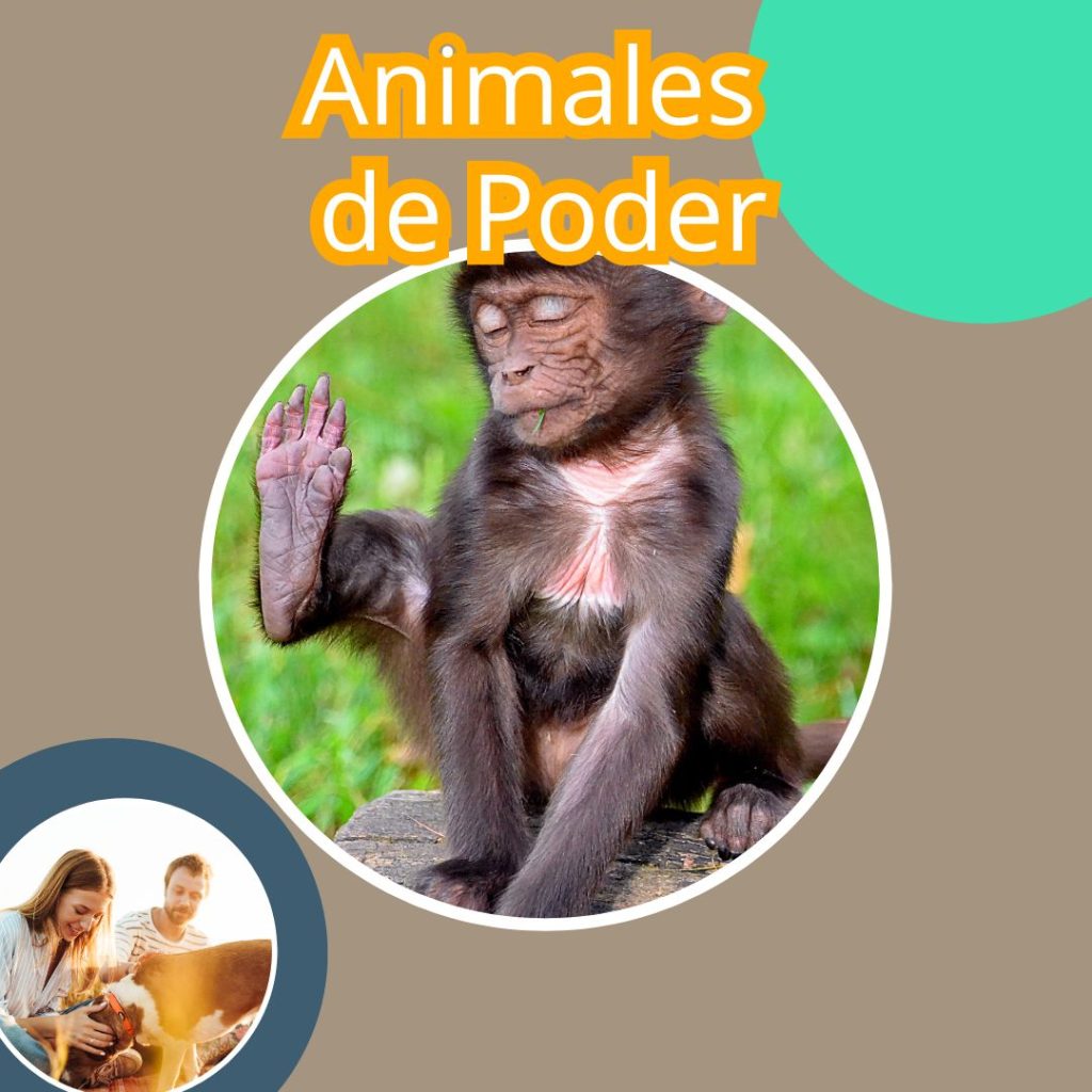 ANIMAL DE PODER