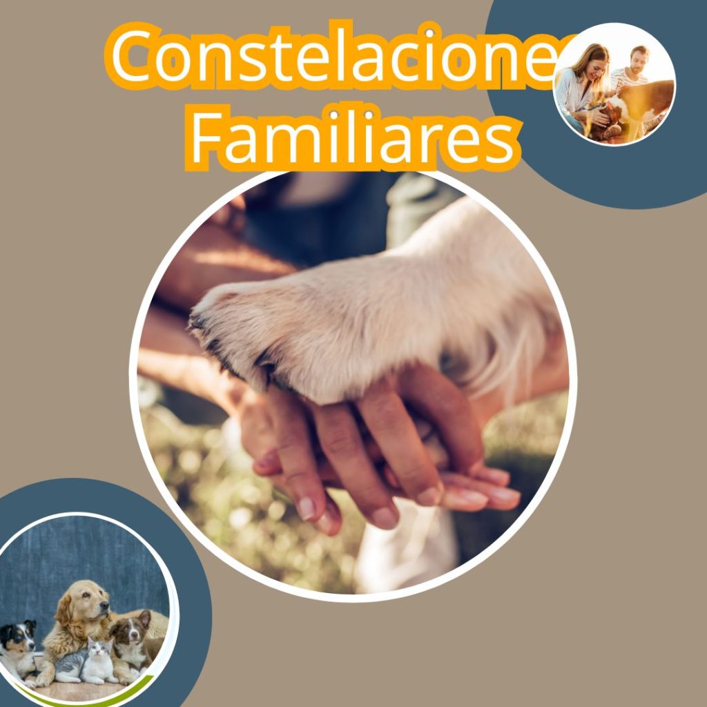CONSTELACIONES SISTEMICAS