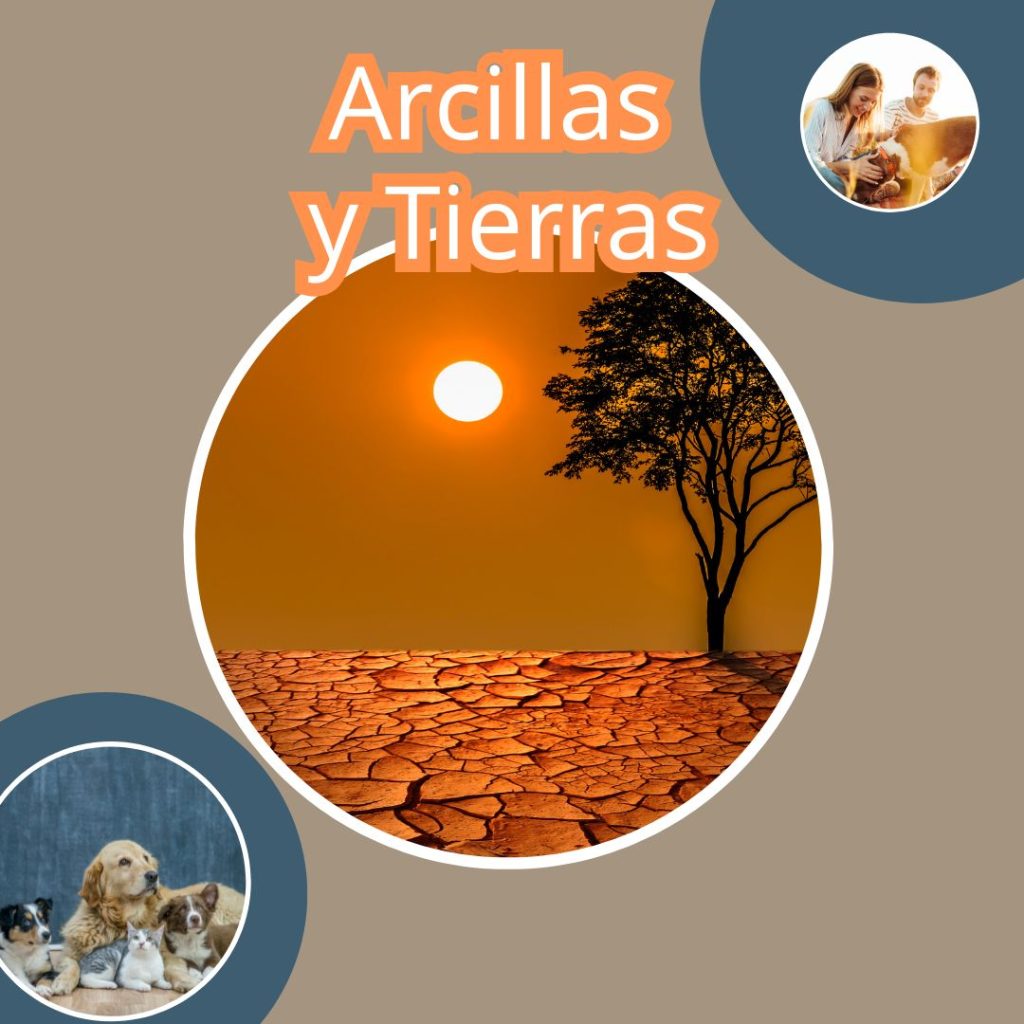 TIERRAS Y ARCILLAS