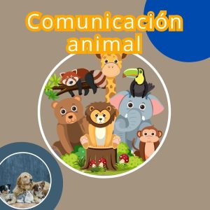 COMUNICACION ANIMAL
