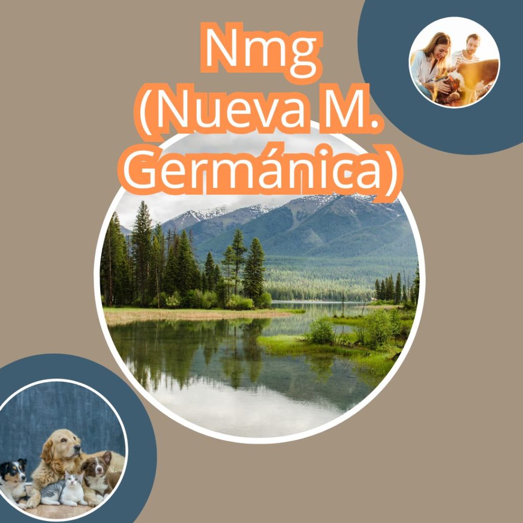 NMG PARA PERSONAS Y MASCOTAS