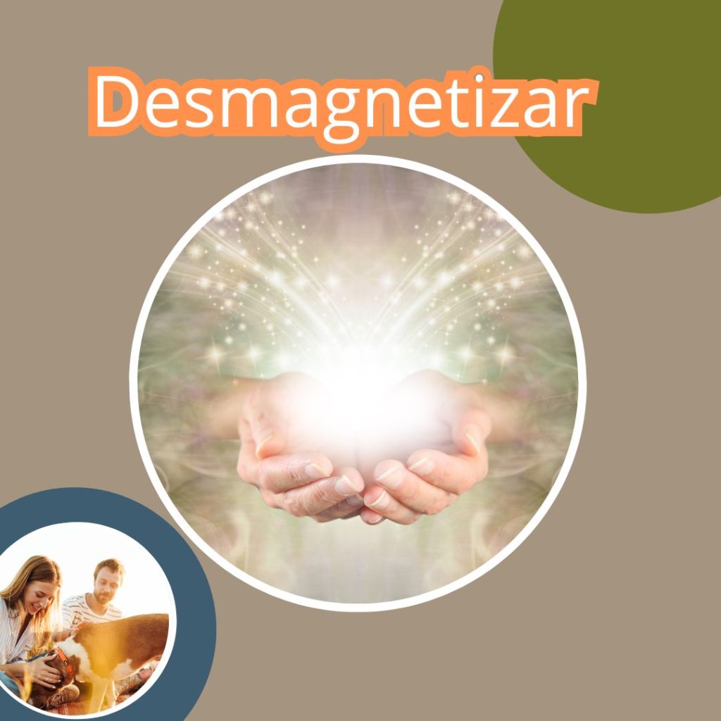 DESMAGNETIZAR CUERPO