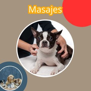 MASAJE REJENERADORA PARA PERROS Y MASCOTAS